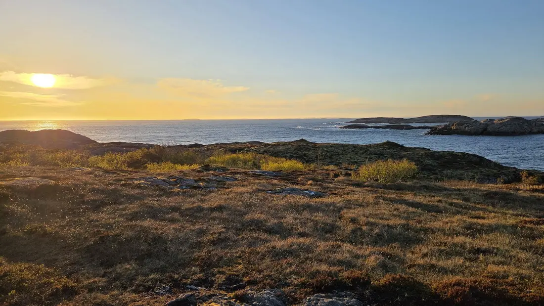 Solnedgang over åpent hav sett fra det lyngkledde neset